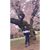 Annie Song's profile image
