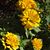 Barb Ballantine's profile image