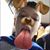 Brenden Hawkins's profile image