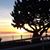 Wende Rae Smith's profile image