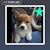 Rachel Llera Busher's profile image