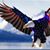 Randy Graham Irons's profile image
