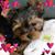 Patricia Delmonico's profile image
