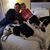 Felicia Rajaee's profile image