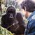 Richard Natoli-Rombach's profile image