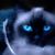 Kat Beeler Beeler's profile image