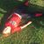 Jenny Sims's profile image