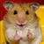 Suze Diaz's profile image