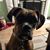 Norma Ruffo's profile image