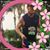 Bob Shumway's profile image