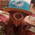Dru Pinto's profile image