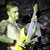 Tom Gehde's profile image