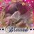 Christina Linnea Reed's profile image