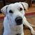 Tracy Jamison Fagan's profile image