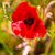 John Harratt's profile image