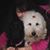 Lilly Dorta-Parnell's profile image