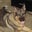 Gigi's profile image