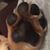Lan Bausano's profile image