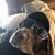 Bonnie Amundson's profile image