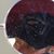 Lonnie Scott's profile image