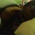 Amos Brown Jr.'s profile image