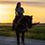 Lu Ann Johnson's profile image