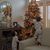 Debra Wright Fennen's profile image