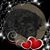 Jared Anderson's profile image