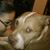 Venus Ramirez's profile image
