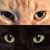 Carolyn Mitchell's profile image