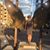 Patricia Brenda Davis's profile image