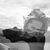 Shannon Cusumano Xenos's profile image