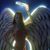 Kasia Bedka's profile image
