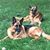 Lynda Villano's profile image