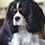 Hattie Violet's profile image