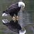 Leeanna BrownRadabaugh's profile image