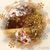 Marsha Alexander Puckett's profile image