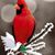 Sharon Webber Emerson's profile image