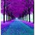 Debbie Laver's profile image