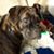 Sally Hemminger's profile image