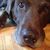 Heath Bichel's profile image