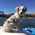 Diana Beyers Aschenbach's profile image