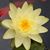 Gail Aschendorf's profile image