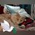 Tina Orner's profile image