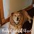 Sally A. Mac's profile image