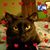 Penny Stephens's profile image