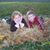 Melissa Hoyt Ellerbrock's profile image