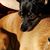 Cathy Green's profile image