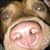Nick Sanders's profile image