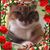 Ann Kerns's profile image